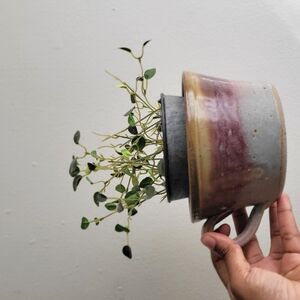 Handcrafted Ceramic Planter with Greenery
